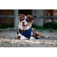 Hundegeschirr RIDING WORLD – Simba Marine Marineblau