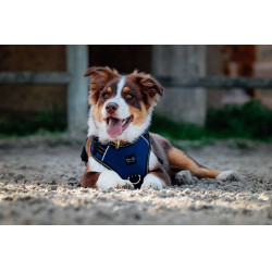 Hundegeschirr RIDING WORLD – Simba Marine Marineblau
