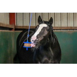 Likit Granola Light Leckerlis Likit Granola Light Leckerlis