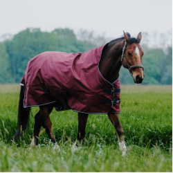 Equithème TYREX 1200D High Neck Decke Bordeaux