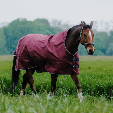 Equithème TYREX 1200D High Neck Decke Bordeaux