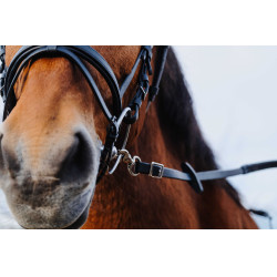 Gummizügel Norton Training PVC Schwarz