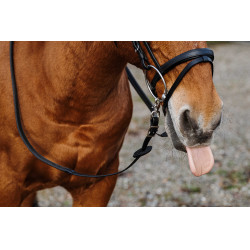 Gummizügel Norton Training PVC Schwarz