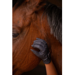 Handschuhe Eden by Pénélope Prisma Strass Marine Marineblau