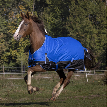 Equithème Tyrex Aisance Decke 1200D Königsblau