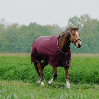 Equithème Tyrex 1200D Decke Bordeaux