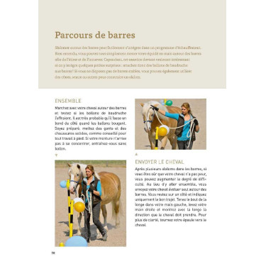 20 Zirkustricks mit Ihrem Pferd Vigott