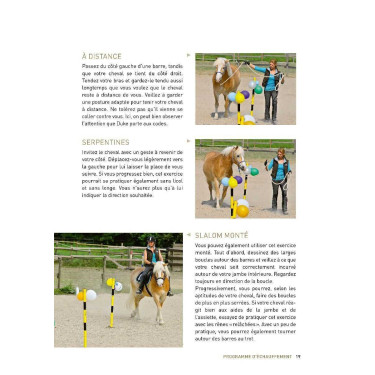 20 Zirkustricks mit Ihrem Pferd Vigott