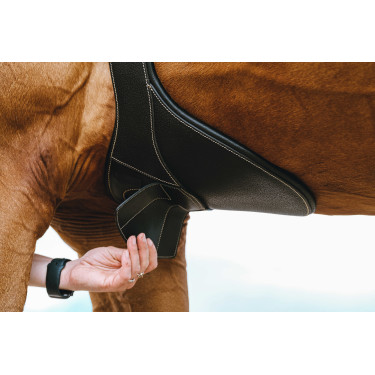 Gurt mit Magnetbauchlatz Norton Schwarz