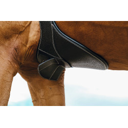 Gurt mit Magnetbauchlatz Norton Schwarz