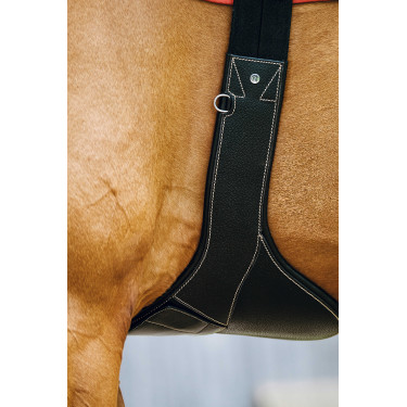 Gurt mit Magnetbauchlatz Norton Schwarz