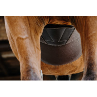 Gurt mit Magnetbauchlatz Norton Havanna Braun