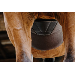 Gurt mit Magnetbauchlatz Norton Havanna Braun