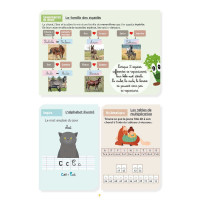 Mein Aktivitätsheft Niveau CM2 Lavauzelle