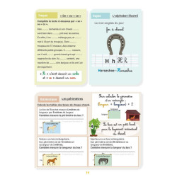 Mein Aktivitätsheft Niveau CM2 Lavauzelle