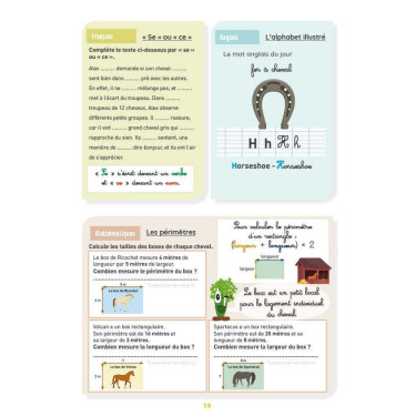 Mein Aktivitätsheft Niveau CM2 Lavauzelle