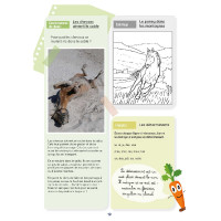 Mein Aktivitätenheft Niveau CE1 Lavauzelle