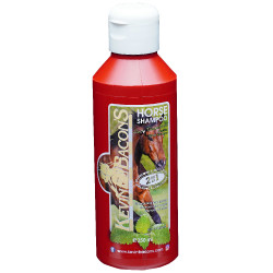 Shampoo KEVIN BACON'S - Lucy Diamonds