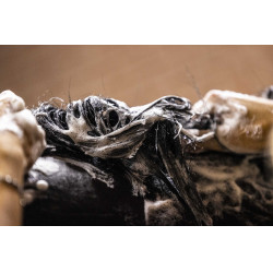 Shampoo KEVIN BACON'S - Lucy Diamonds