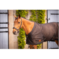 Mesh-Hemd Paddock Sports Schwarz