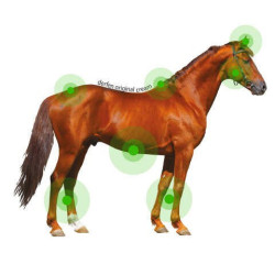 Creme Animaderm Derfen™ Original