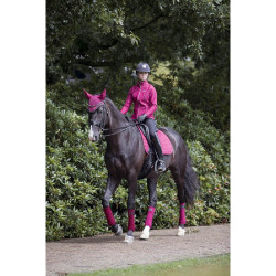 LeMieux Suede Dressur Schabracke Brombeere Bordeaux