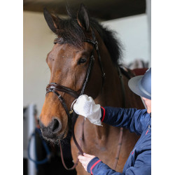 Belvoir® Carr & Day & Martin Tack Cleaner Reinigungshandschuhe Weiß Wei&szlig;