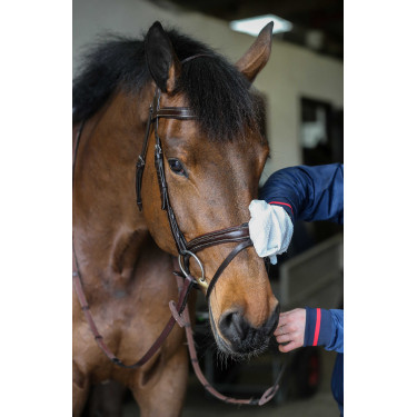 Belvoir® Carr & Day & Martin Tack Cleaner Reinigungshandschuhe Weiß Wei&szlig;