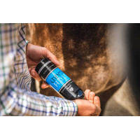 Sanfte Lotion Carr & Day & Martin Itchgard Sanfte Lotion Carr & Day & Martin Itchgard