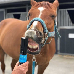 Beruhigende Creme Carr & Day & Martin Wound Cream Beruhigende Creme Carr & Day & Martin Wound Cream