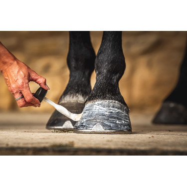 Öl für Hufe Carr & Day & Martin Daily Hoof Moisturiser Cornucrescine