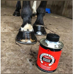 Carr & Day & Martin Cornucrescine Daily Hoof Barrier Huföl