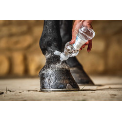 Carr & Day & Martin Cornucrescine Daily Hoof Barrier Huföl
