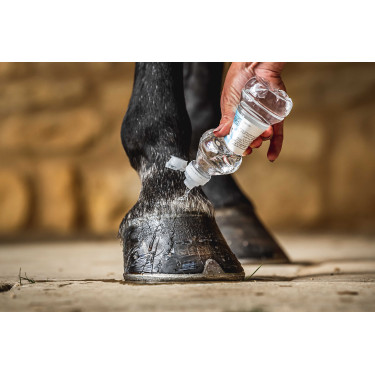 Carr & Day & Martin Cornucrescine Daily Hoof Barrier Huföl