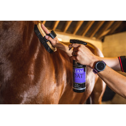 Glanzspray Carr & Day & Martin Dreamcoat Glanzspray Carr & Day & Martin Dreamcoat