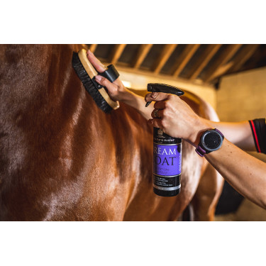 Glanzspray Carr & Day & Martin Dreamcoat Glanzspray Carr & Day & Martin Dreamcoat