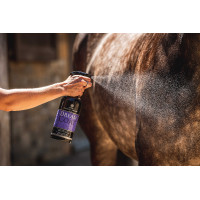 Glanzspray Carr & Day & Martin Dreamcoat