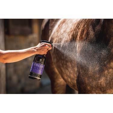 Glanzspray Carr & Day & Martin Dreamcoat Glanzspray Carr & Day & Martin Dreamcoat