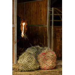 Heunetz Hippotonic Zari