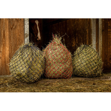 Heunetz Hippotonic Zari Heunetz Hippotonic Zari