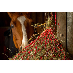 Heunetz Hippotonic Zari Rot / Silberfarben