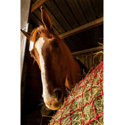 Heunetz Hippotonic Zari Rot / Silberfarben