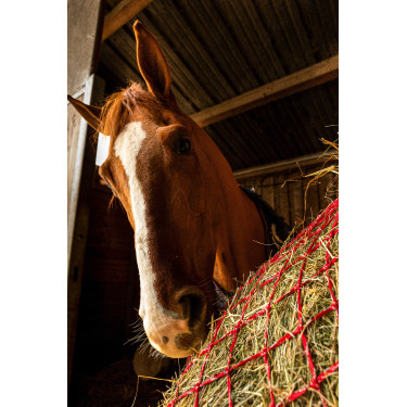 Heunetz Hippotonic Zari Rot / Silberfarben