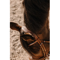 Bridon Eric Thomas Visby Havanna Braun