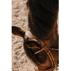 Bridon Eric Thomas Visby Havanna Braun