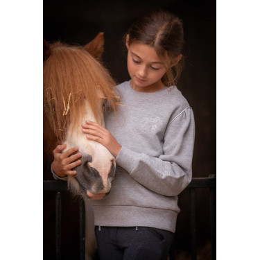 Sweat Pénélope Cassou Meliertes Grau