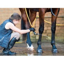 Shampooing Animaderm Tea Tree