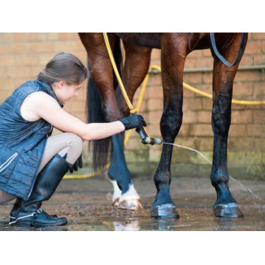 Shampooing Animaderm Tea Tree
