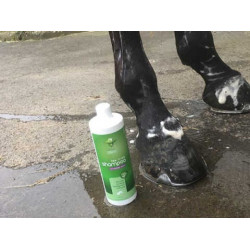 Shampooing Animaderm Tea Tree