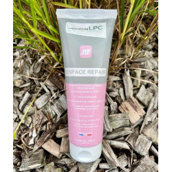 Repair-Bereich LPC